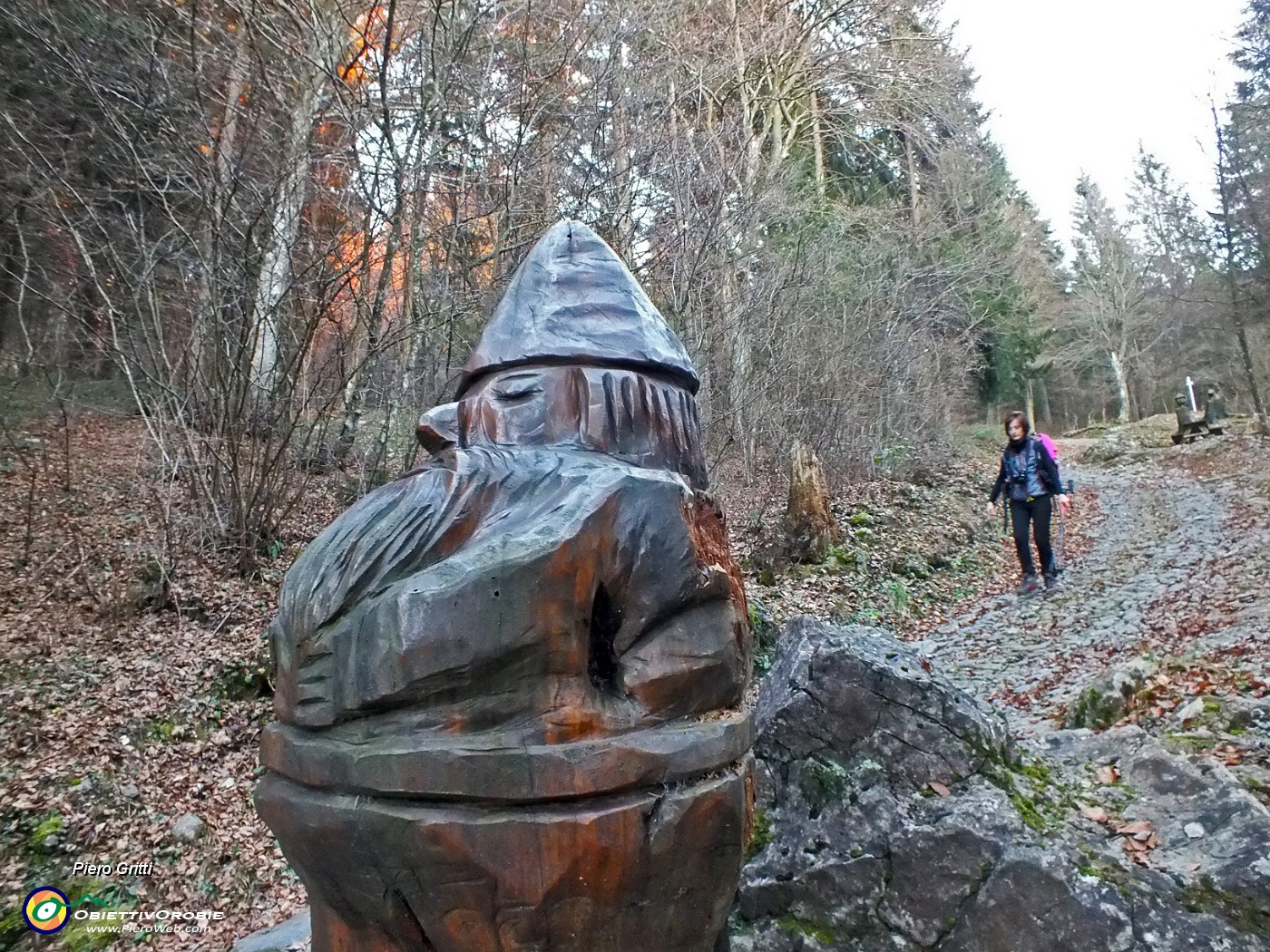 93 Nel Bosco degli Gnomi....JPG